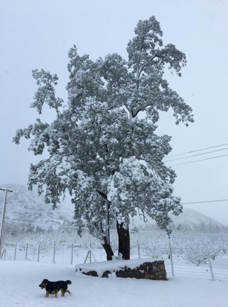 Posada Del Jinete San José de Maipo 외부 사진